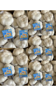 ɂɂ@ōɂɂ2LTCY10kg@XYɂɂ@zCgZЂɂɂwIx@YɂɂAi