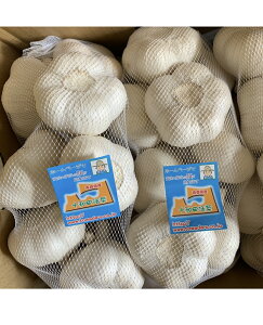 2025NYɂɂ@ōɂɂ2LTCY2kg@XYɂɂ@zCgZЂɂɂwIx@YɂɂAi