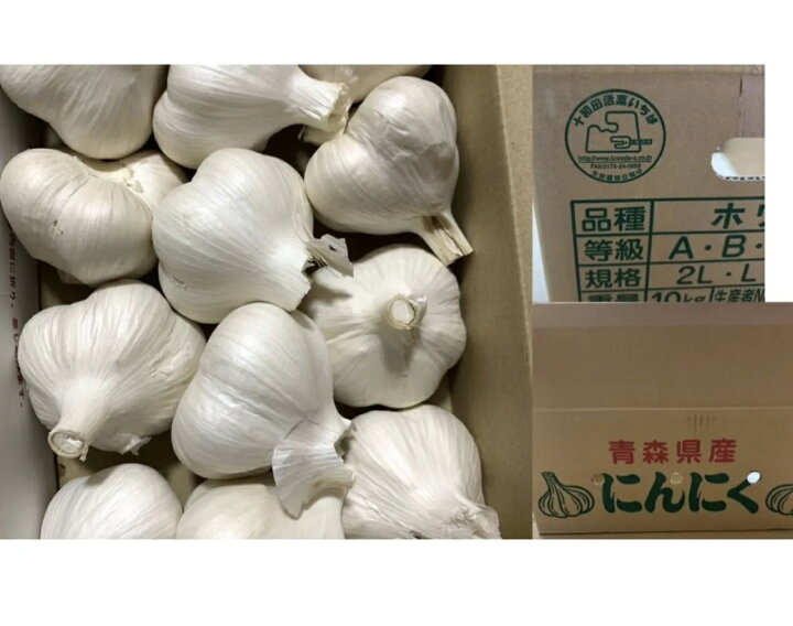 楽天市場】2025年産にんにく 最高級にんにく2Lサイズ5kg 青森県産 