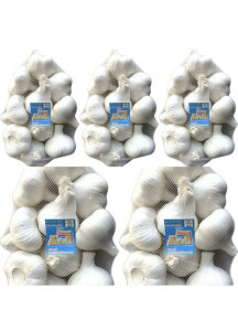 2025NYɂɂ@ōɂɂ2LTCY5kg@XYɂɂ@zCgZЂɂɂwIx@YɂɂAi