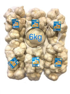 ɂɂ@ƖpɂɂLTCY6kg@Ci@XY@uzCgZЎɂɂv@@Yɂɂ@Xɂɂ