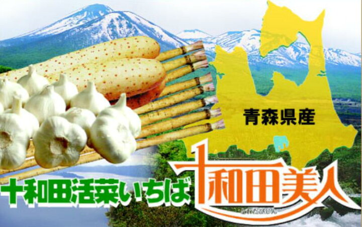楽天市場】2025年産 青森にんにく 訳ありにんにくLサイズ10kg 