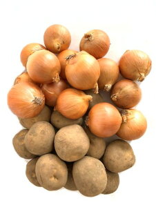 kCn鏒5kg@kʂ˂LTCY5kg@WKC@ʂ˂