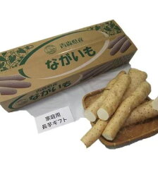 青森県産　長芋　とろろ芋 家庭用 10kg　訳あり　洗浄済み　おがくず入り　洗い長芋