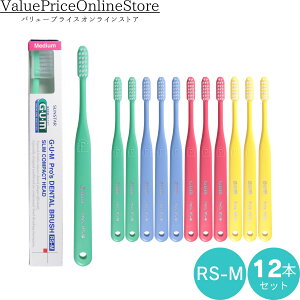 y100~OFFN[|LzTX^[ K XRpNgwbh RS-M 12{