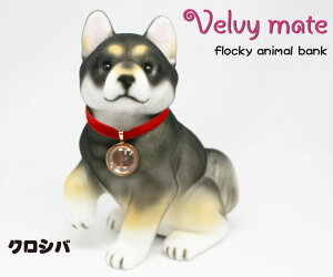 ytbL[    NVoz Ck   Aj}  CeA Aj}ObY ObY G  킢 Mtg v[g RCoN 500~