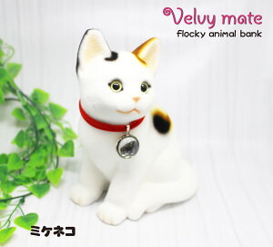 �y�t���b�L�[ �l�R����� ������ �~�P�l�R�z�l�R �˂� �L CAT ���� �A�j�}�� �����u�� ���������� �C���e���A �A�j�}���O�b�Y �����O�b�Y �G�� ���� ���킢�� �M�t�g �v���[���g �R�C���o��