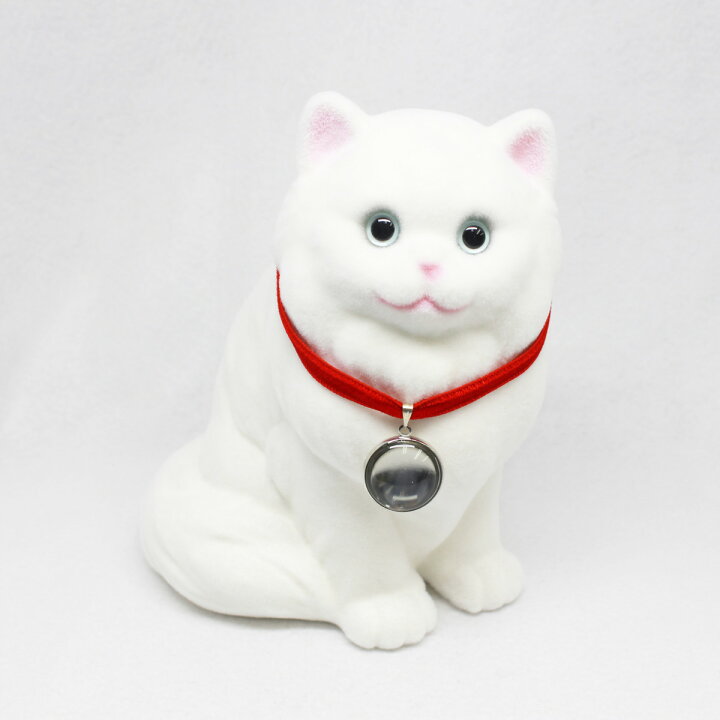 楽天市場 フロッキー ネコちゃん 貯金箱 ペルシャ 白 ネコ ねこ 猫 Cat 動物 アニマル 動物置物 動物貯金箱 インテリア アニマルグッズ 動物グッズ 雑貨 可愛い かわいい ギフト プレゼント コインバンク ５００円玉 おしゃれ 友達プレゼント お祝い 誕生日 バンク 母