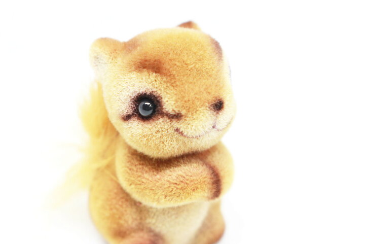 楽天市場 フロッキー チャーミー アニマル マスコット リス 子 りす Squirrel 動物 アニマル 動物置物 インテリア アニマルグッズ 動物グッズ 雑貨 ハンドメイド 手づくり 癒し 可愛い かわいい ギフト プレゼント お祝い 誕生日 Velvy Mate
