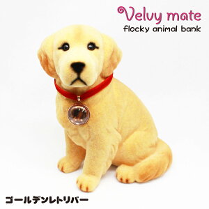 ytbL[   S[fgo[z Ck   Aj} u  CeA Aj}ObY ObY G  킢 Mtg v[g 