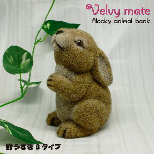 tt@@V[Y@ETMB^Cv@[u CeA Aj}ObY ObY G  킢 Mtg v[g RCoN 500~  FBv[