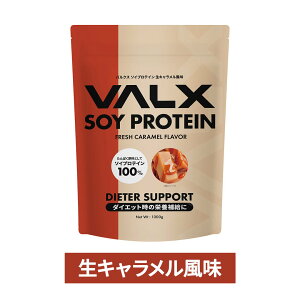[���Ԍ��� LINE�o�^��1,000�~OFF] VALX �\�C�v���e�C�� 1kg 50�H�� �I�ׂ�6��t���[�o�[ ���� �_�C�G�b�g �u������ �������� ���e �؃g�� �A���� �哤 �v���e�C�� �������Y �R�{�`�� �`���R �}���S�[