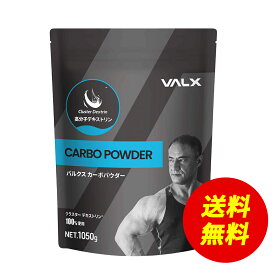 【〜3/15 23:59 期間限定 送料無料】[期間限定 LINE登録で1,000円OFF] VALX CARBO POWDER カーボパウダー 安心の国内製造 デキストリン 糖質補給 クラスターデキストリン パフォーマンス 栄養補給 山本義徳 ボディメイク