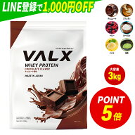 【ポイント5倍 3/13 9:00-3/15 23:59】 [期間限定 LINE登録で1,000円OFF] [大容量] VALX ホエイプロテイ…