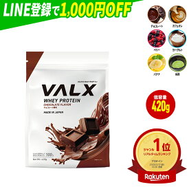 [LINE登録で1,000円OFF] [お試しサイズ] VALX ホエイプロテイン WPC 420g 選べる6種フレーバー 国内生産 山本義徳 チョコレート ベリー ヨーグルト カフェオレ バナナ 抹茶 プロテイン タンパク質 筋トレ ダイエット