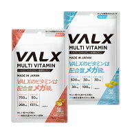 [LINE登録で1,000円OFF] 【VALX マルチビタミン水溶性ビタミン＆脂溶性ビタミンセット】 ビタミンA ビタ…