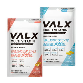 [期間限定 LINE登録で1,000円OFF] 【VALX マルチビタミン水溶性ビタミン＆脂溶性ビタミンセット】 ビタミンA ビタミンD ビタミンE ビタミンK ビタミンC ビタミンB1 ビタミンB2 ビタミンB6 ビタミンB12 サプリ サプリメント バルクス