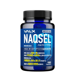 [@\\Hi] VALX NAQSEL (iNZ) T|[g Tv J[ Tv NHi ^[~iA KjVA b  BMI bR l b b _CGbg  Tvg o