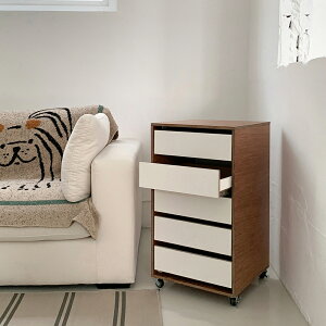 VAMIR o~ Log[ 40cm@؍CeA