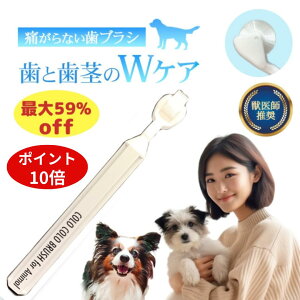 y|Cg10{+COUPONz ő59%ItSALE  L uV RRuV bt p ̎ ̎uV 360x d ^ ^ I[PA a Ղ̎uV s}