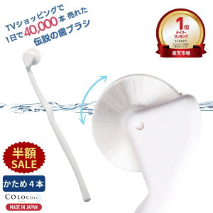 yzSALE+P5{z uV  RRuV Ղ̎uV s}bT[W uV L  o }bT[WuV q 낱뎕͂Ԃ炵 ^R a tX C 