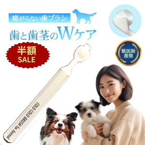 yzSALE+P5{z ő59%ItSALE  L uV RRuV bt p ̎ ̎uV 360x d ^ ^ I[PA a Ղ̎uV s}bT[