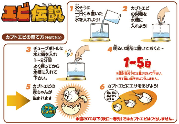 393円 上品 生きた化石 ディノ伝説