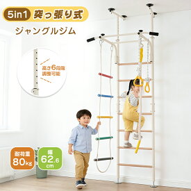 【5%offクーポン！】ジャングルジム 鉄棒 大型遊具 室内遊具 室内 ぶら下がり健康器 懸垂バー 突っ張り式 金属フレーム 多機能 おうち運動 5WAY 高さ調節 遊具 ロープはしご クライミングロープ 子供 キッズ 耐荷重80kg jm