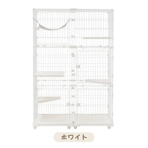 ySiP5{20`4HIzyǔœoIzL P[W LbgP[W 3i L݌v Rgݍ킹 LhAt nbNt ^ LQ[W   LbgnEX lR