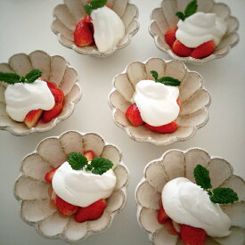 リンカ　白練12ボウルTOJIKITONYA/カネコ小兵/リンカ/輪花