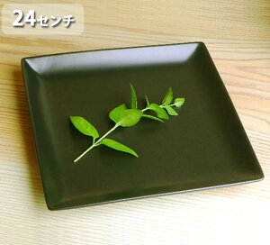 ubNEXNGAv[g@24cm@ JtFH/Ɩp