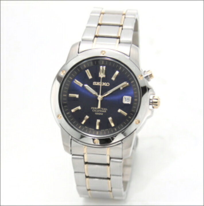 Snq010 Seiko Men's Perpetual Calendar Watch SNQ010