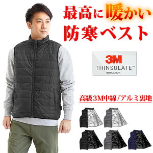 xXg Y fB[X [AJ̍3MVT[g A~Œg] _ExXg Ci[_E _EWPbg h h ƒ oR Lv AEghA St X