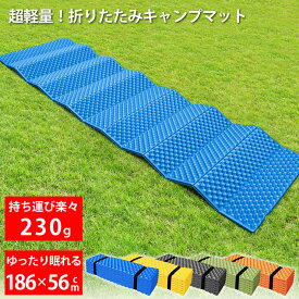 キャンプ マット キャンプ用品 [ 凹凸が冷気を防いで保温性を高める 軽量 230g XPEフォームで優れたクッション性 ] テント マット アウトドア マット レジャーマット 寝袋 マット 防災 グッズ アウトドアマット 登山 登山用品 登山グッズ LAD WEATHER ラドウェザー