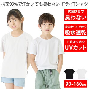 TVc LbY [ 99%RۂŊLȂ z łƉK hC UVJbg ] n  q xr[ WjA j̎q ̎q ̑ ^ ۈ牀 ct w X|[cEFA  