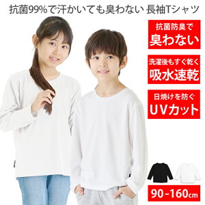 TVc LbY [ 99%RۂŊLȂ z ŉK hC UVJbg ] tVc LbY n  q WjA j̎q ̎q ̑ ^ ۈ牀 ct w   90cm 100cm 11