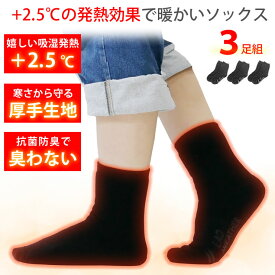 靴下 メンズ レディース [ 吸湿発熱 +2.5℃で暖かい 厚手 3足セットでお得 抗菌防臭で臭わない ] ルームソックス ビジネス ソックス くつした 防寒グッズ あったか 温かい 暖かい 冷え取り 冷え性 臭い 消臭 ブラック キャンプ アウトドア 登山 LAD WEATHER ラドウェザー