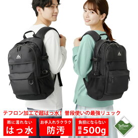 リュック メンズ レディース [ テフロン加工で水や汚れに強い 通勤 通学 にちょうどいい25リットル ] バックパック リュックサック マザーズバッグ マザーズリュック デイパック 大容量 軽量 防水 小さめ ビジネス 出張 大学生 防災 キャンプ 鞄 LAD WEATHER ラドウェザー