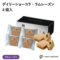 デイリーショーコラ・ラムレーズン4個入