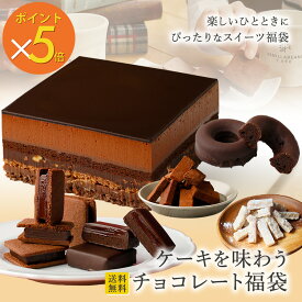 【ポイント5倍】ケーキを味わうチョコレート福袋(送料無料) [5/22着迄]