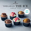 VANILLABEANS THE ICE(送料無料)[9/27着迄] チョコレート 横浜 バニラビーンズ | クラフトアイス アイス スイーツ 高級 ギフト ギフト おしゃれ 詰め合わせ お取り寄せ プレゼント お中元