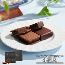 バニラビーンズ ショーコラ＆パリトロ4個入 チョコレート ギフト お菓子 あす楽 父の日ギフト