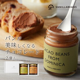 パンが美味しくなるチョコレート2個入 [ZIP!で紹介されました！] バニラビーンズ ギフト プレゼント チョコレート スプレッド チョコ 詰め合わせ おしゃれ 誕生日 内祝い お礼 手土産 カカオ ギフト お中元