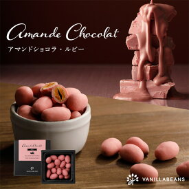【店内全品が即日発送】アマンドショコラ・ルビー(90g) [3/23着迄] バニラビーンズ アマンドショコラ ギフト プレゼント チョコレート ナッツ チョコ お菓子 スイーツ おしゃれ 洋菓子 大人 誕生日 内祝い ルビー ルビーチョコレート ホワイトデー 2026 春ギフト