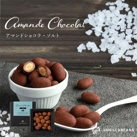 【店内全品が即日発送】アマンドショコラ・ソルト(90g) [3/23着迄] バニラビーンズ アマンドショコラ ギフト プレゼント チョコレート ナッツ チョコ お菓子 スイーツ おしゃれ 洋菓子 大人 誕生日 内祝い お礼 手土産 ソルト ホワイトデー 春ギフト 2026