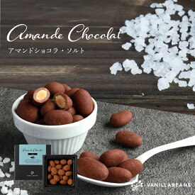 【店内全品 最強配送】アマンドショコラ・ソルト(90g) [3/23着迄] バニラビーンズ アマンドショコラ ギフト プレゼント チョコレート ナッツ チョコ お菓子 スイーツ おしゃれ 洋菓子 大人 誕生日 内祝い お礼 手土産 ソルト バレンタインデー 2026