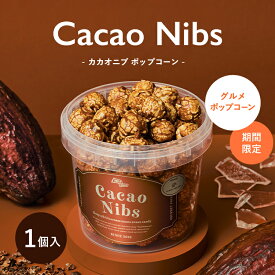 カカオニブ [7/6着迄] 2026 チョコレート ポップコーン 横浜 バニラビーンズ ヒルバレー コラボ チョコ カカオ カカオ豆 カカオニブ ギフト おしゃれ 洋菓子 高級 お中元