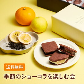 季節のショーコラを楽しむ会(送料無料)[8/11着迄] チョコレート 横浜 バニラビーンズ | チョコサンド チョコ 洋菓子 お菓子 高級 ギフト おしゃれ 個包装 スイーツ プレゼント プチギフト フレッシュアールグレイ ミックスシトラス リッチミルク チョコレート 2025
