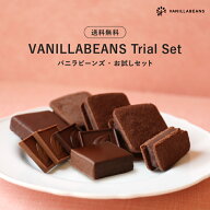 【送料無料】チョコレート お試しセット 7種 横浜 バニラビーンズ | チョコサンド 生チョコ スノーボール…