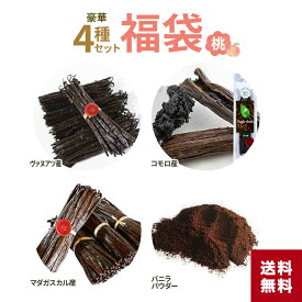 【 春のお菓子作り応援! ポイント2倍!! 】豪華4種セット 福袋 バニラビーンズ ふくぶくろ セット 世界一高価 ヴァヌアツ産バニラビーンズ 世界の最高峰 マダガスカル産 希少 有機JAS コモロ産 貴婦人のバニラ SET